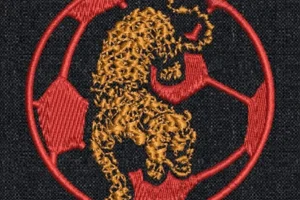 Embroidery Digitizing 